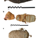 The three animal mummies analyzed in the new study: (a) bird, (b) cat, (c) snake.